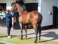 NH051025-35 - Will Carver